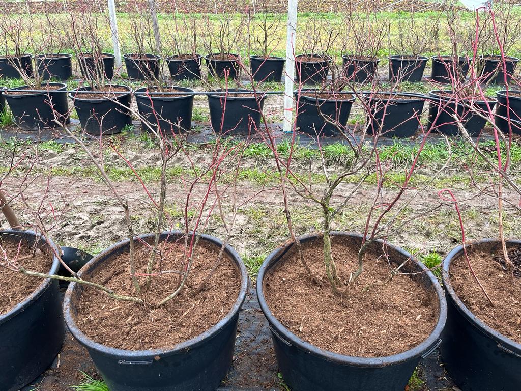 WhatsApp Slika 2023-02-04 u 17.01.13.jpg